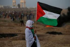 Palestina. Apartheid