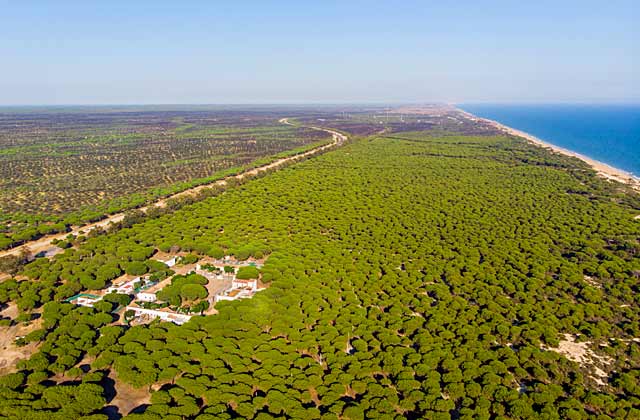 Doñana, en la lista de espacios naturales por los que hay "preocupación significativa"