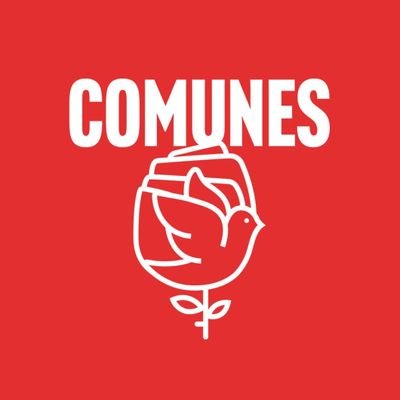 Colombia. En el Partido Comunes ¡hasta la sal se dañó!