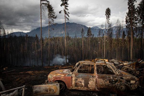 Argentina: Incendios en Chubut: causas, responsables y resistencias