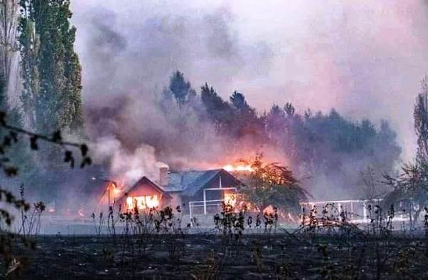 Nación Mapuche. El terricidio es un crimen de lesa naturaleza