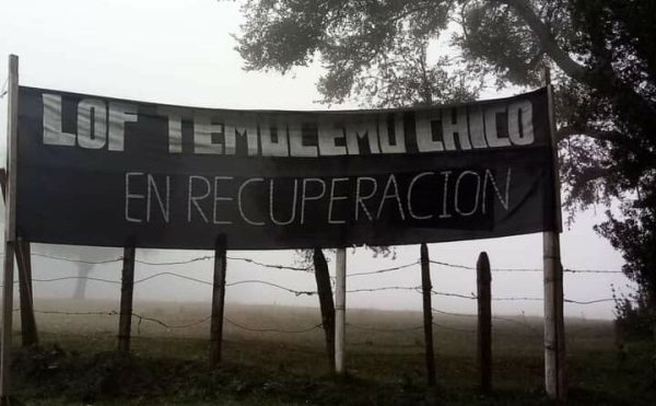 Nación Mapuche. Autonomía y control territorial. Enfrentamientos entre fuerzas mapuche y policias en Temulemu Chico