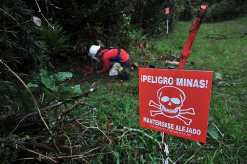 Colombia. Registran casi 10 mil víctimas de minas antipersonales