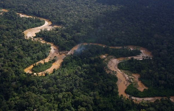 Perú. Exfuncionarios, empresarios de la madera y residentes de otras regiones compiten por representar la Amazonía