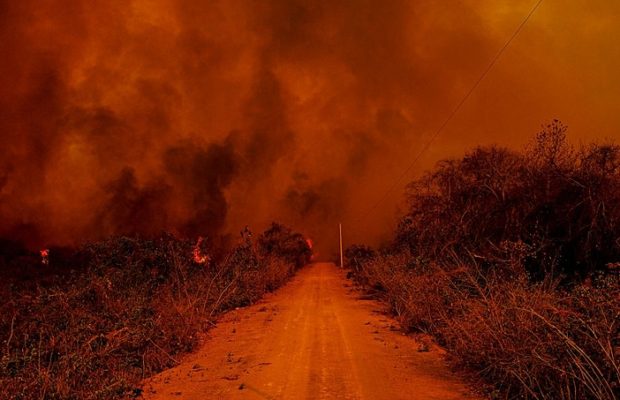 Brasil. El dossier «Agro y fuego» desvela las relaciones entre gobierno, agroindustria y deforestación