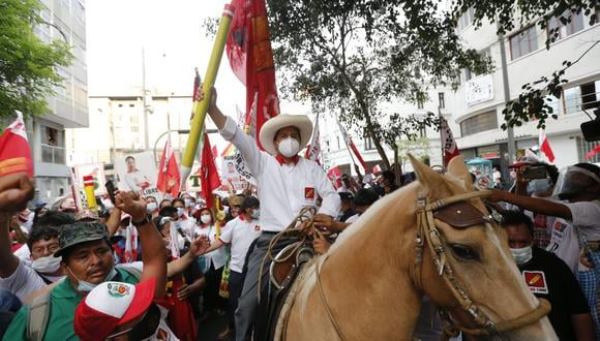 Perú. El caballo de Pedro Castillo