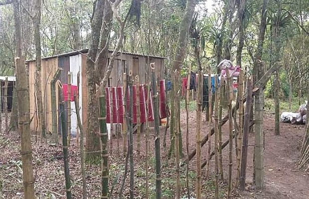 Brasil. Indígenas mbyá-guaraníes de Porto Alegre se encuentran amenazados por la adjudicación ilegal de tierras