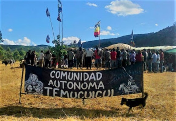 Nación Mapuche. Fiscalía prepara a testigos para hacer responsable de delitos a menor de Temucuicui