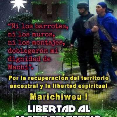 Nación Mapuche. Machi Celestino Córdova: “Nuestro feyentun nos mantendrá firmes”