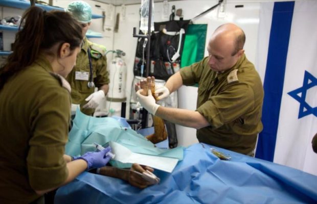 Argentina. A propósito del anuncio oficial sobre la llegada de médicos israelíes