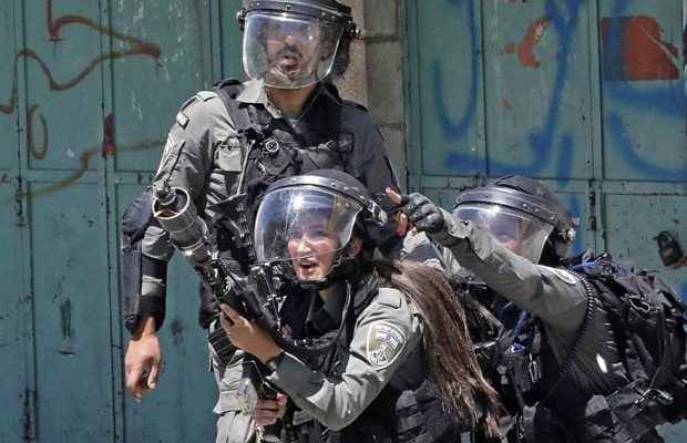 Palestina. Los crímenes de Israel /El exterminio del pueblo palestino