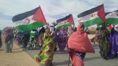 Sáhara Occidental. Cientos de mujeres saharauis toman las calles de los campamentos