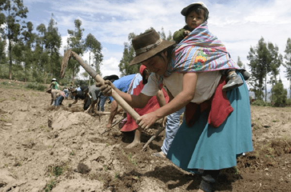 Perú. Plan de Adaptación climático incluye enfoque intercultural y de género