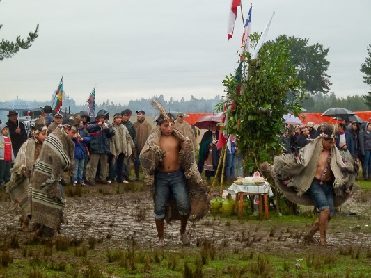 Nación Mapuche. Lof Niguen – Collimallin convocan a ceremonia de wetripantu en resistencia a megaproyectos