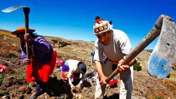 Perú. Campesinos a la expectativa de segunda reforma agraria