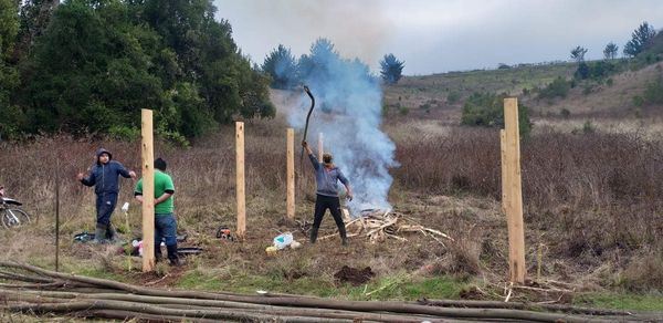 Nación Mapuche. Comunidad autónoma Pewuwe Winkull Huichawe continúa con su proceso de reconstrucción