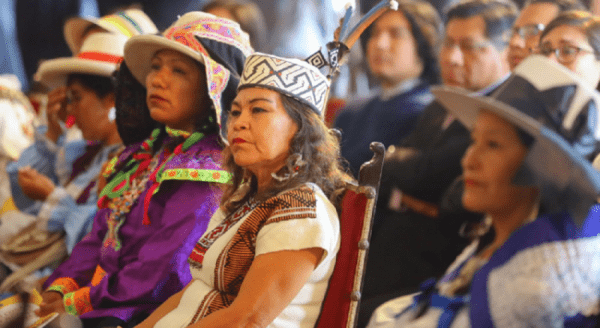 Perú. Una agenda Andino-Amazónica para el profesor Castillo