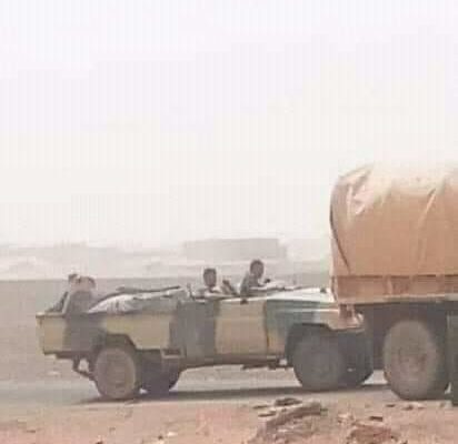 Sahara Occidental. El ejército marroquí sin abastecimiento roba rebaños de camellos de familias saharauis