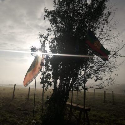 Nación Mapuche. Comunicado sobre machi adolescente quien estuvo desaparecido