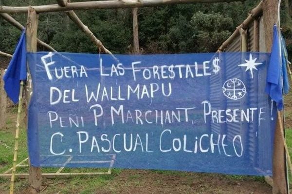 Nación Mapuche. Comunidad Pascual Colicheo recupera territorio donde esta instalada la empresa forestal Mininco