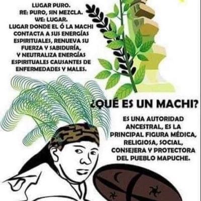 Nación Mapuche. Machi Celestino Cordova : «Siento el sufrimiento que mi pueblo carga desde hace siglos»