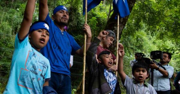 Nación Mapuche. 85 ganadores del ‘Nobel Verde’ exigen a Piñera prevenir e investigar ataques a lonko Alberto Curamil y otros ambientalistas