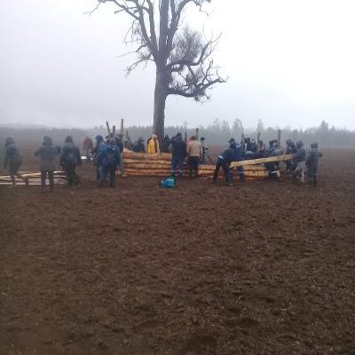 Nación Mapuche. Lof  Xapilwe comienza recuperación productiva y construcción de ruka al interior de fundos UFRO, Wuichawe y El  Nudo