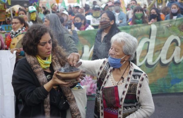 Argentina. Después de una larga travesía naútica la lucha por los humedales llegó al Congreso Nacional
