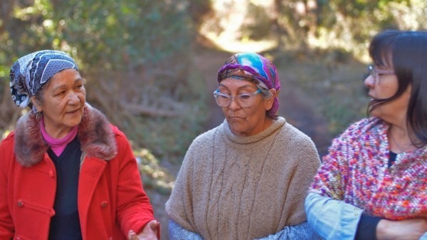 Nación Mapuche. Comunicado de las comunidades Millalonko Ranquehue, Celestino Quijada y Tambo Báez