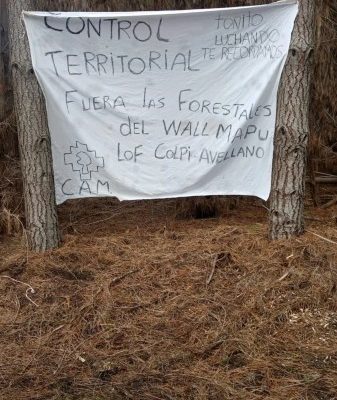 Nación Mapuche. Lof Colpi Avellano y Coordinadora Arauco Malleco: proceso de recuperación territorial