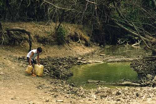 Pueblos originarios. Los qom en el Chaco: sin agua para vivir