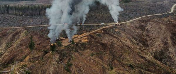 Nación Mapuche. Ataque incendiario de sabotaje a maquinaria forestal se produjo esta mañana en Lebu