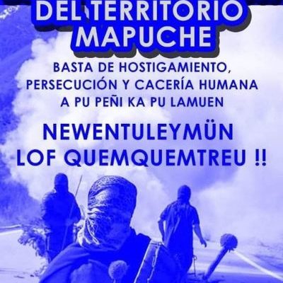 Nación Mapuche. Lucha autónoma contra el capital