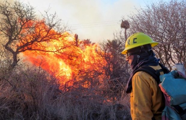 Argentina. Incendios en Córdoba, otra vez: 40.000 hectáreas menos de bosque nativo