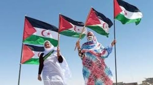 Sáhara Occidental. Informe AFAPREDESA sobre Sultana Jaya: 11 meses de asedio y agresiones
