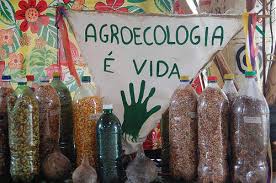 Brasil. Una experiencia agroecológica del Movimiento Sin Tierra (documental «Grano»)