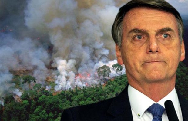 Ecología Social. Bolsonaro, el depredador de Brasil y del mundo