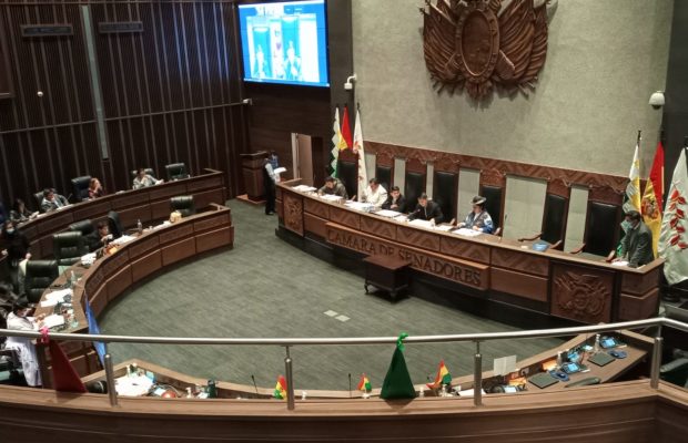 Bolivia. ALP abroga la Ley 1386 y presidente del Senado señala que “no hay motivo para seguir movilizados”