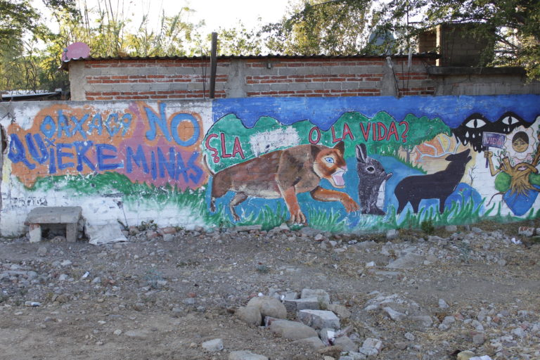 Los habitantes de Magdalena Ocotlán acusan en sus murales a la minería de matar a los animales y contaminar el medio ambiente. Foto: Roxana Romero.