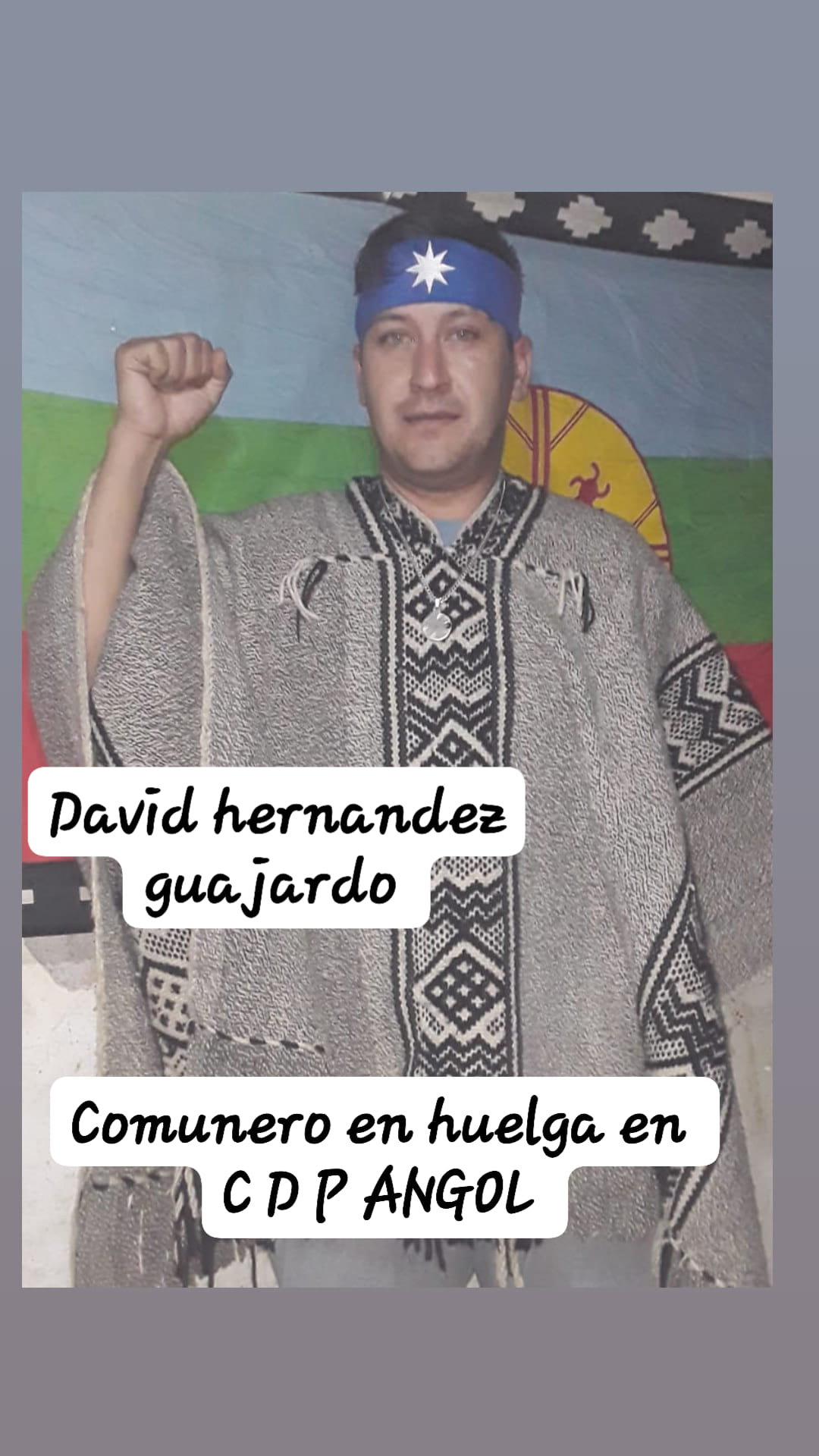 Puede ser una imagen de 1 persona, de pie y texto que dice "David hernandez guajardo Comunero en huelga en CPP ANGOL"