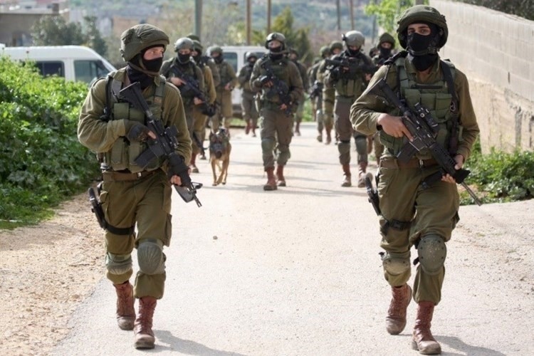 Palestina. Ocupación israelí lanza campaña de arrestos en Al Jalil