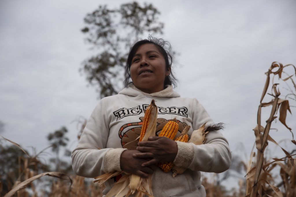 Feminismos. Fotorreportaje: Mujeres guaraníes combaten la sequía con huertos comunales