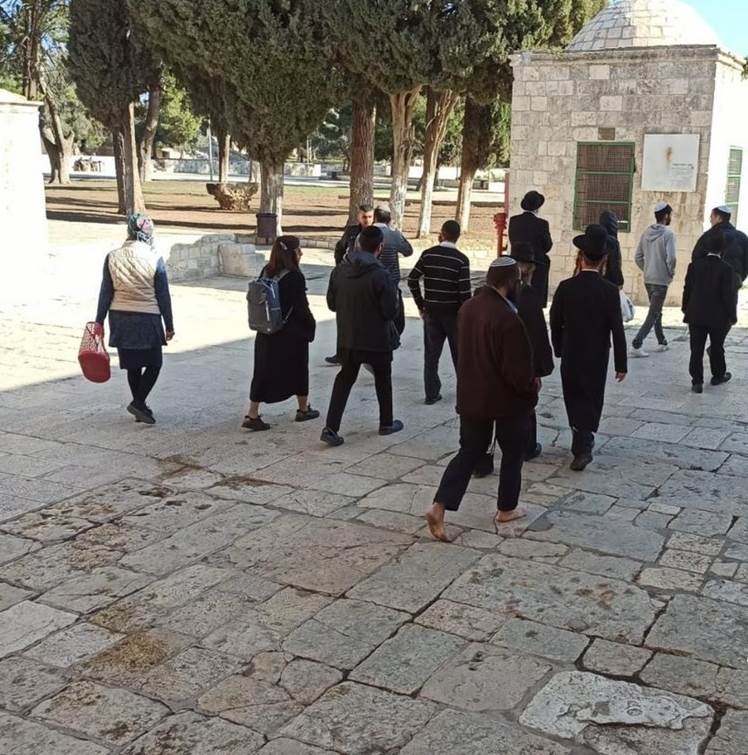 Palestina. Decenas de colonos asaltan la mezquita de Al Aqsa