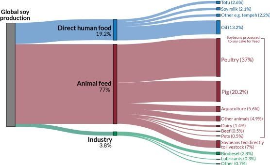 De verdad contribuye tanto la carne al cambio climático?