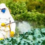 Ecología Social. Brasil marca récord en uso de pesticidas en 2021