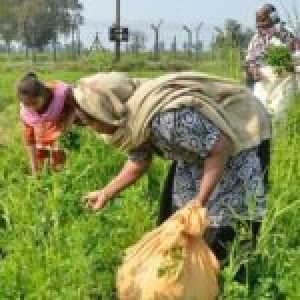 India. El neoliberalismo ha causado 400,000 suicidios de granjeros, dice líder campesino