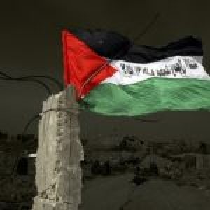 Palestina. Declaración de Solidaridad de la Asamblea Internacional de los Pueblos