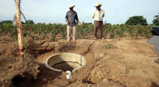 México. Sembradores de agua, zapotecas que con organización vencen la sequía, reviven sus campos y enfrentan la pandemia