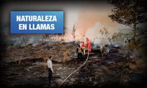 Perú. Madre de Dios: 14 incendios forestales y más de 7 mil focos de calor críticos
