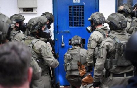 Palestina. Fuerzas israelíes atacan con perros a presos palestinos